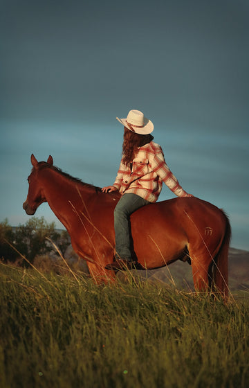 A cowgirl sits gracefully on a horse.